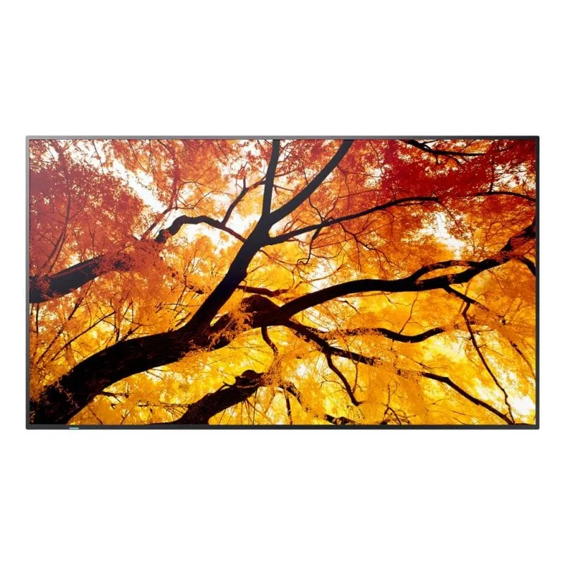 Monitor Sharp MultiSync M432 42,5" UltraHD 4K 8 ms IPS Panel Antirreflejo USB-C 60006053