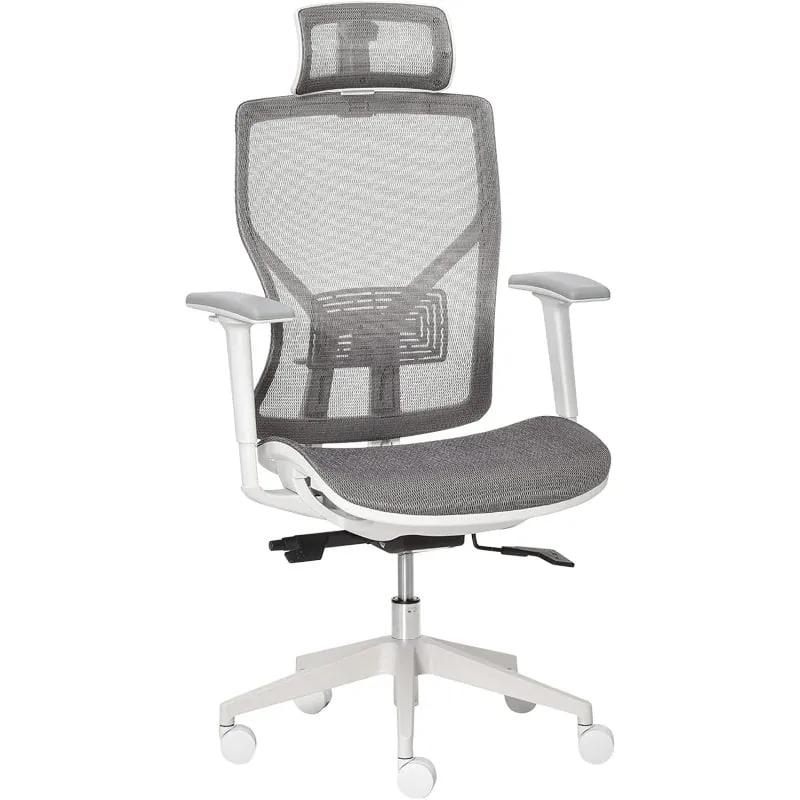 Vinsetto Silla de Oficina Ergonómica con Reposacabezas Gris 921-435
